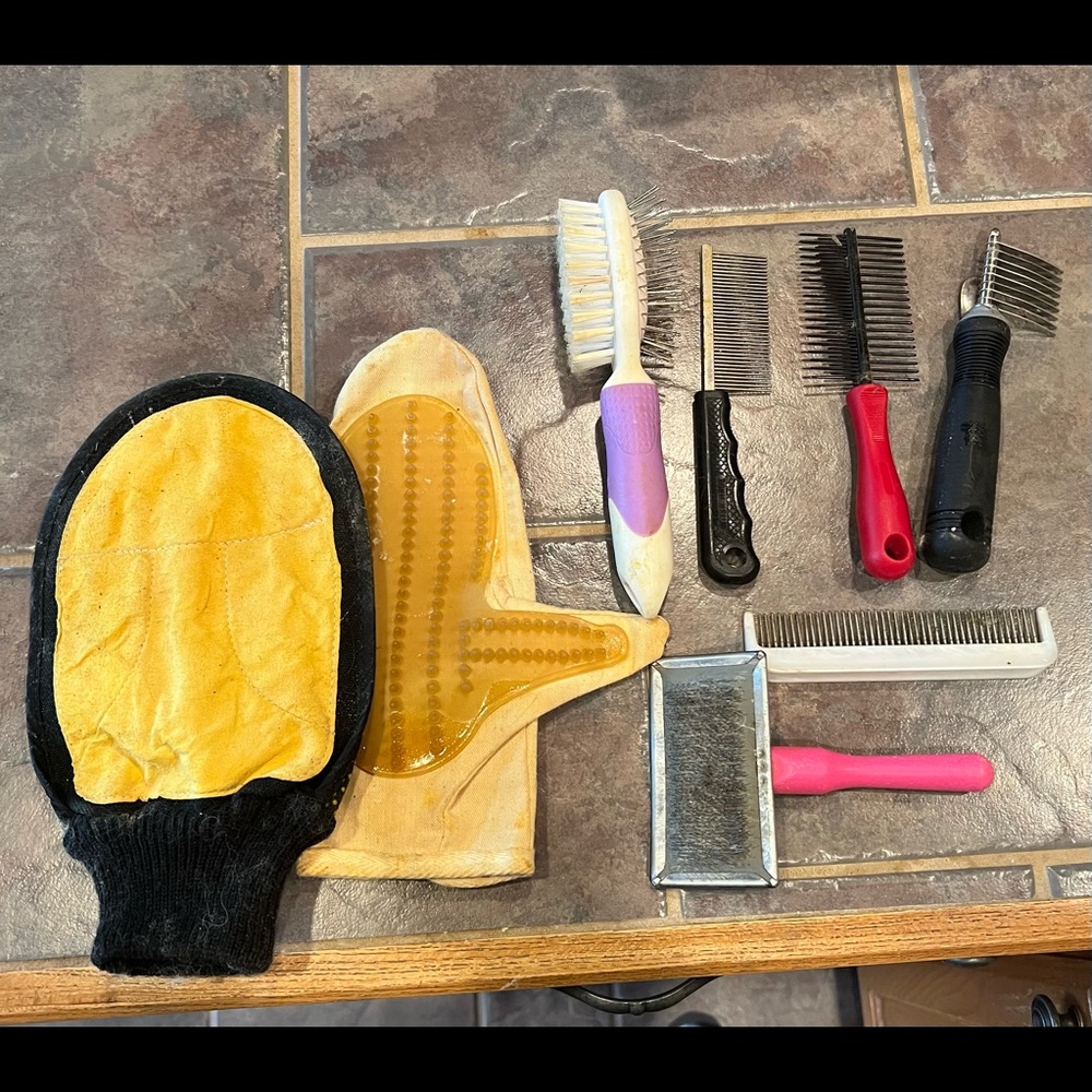 Miscellaneous cat grooming tools